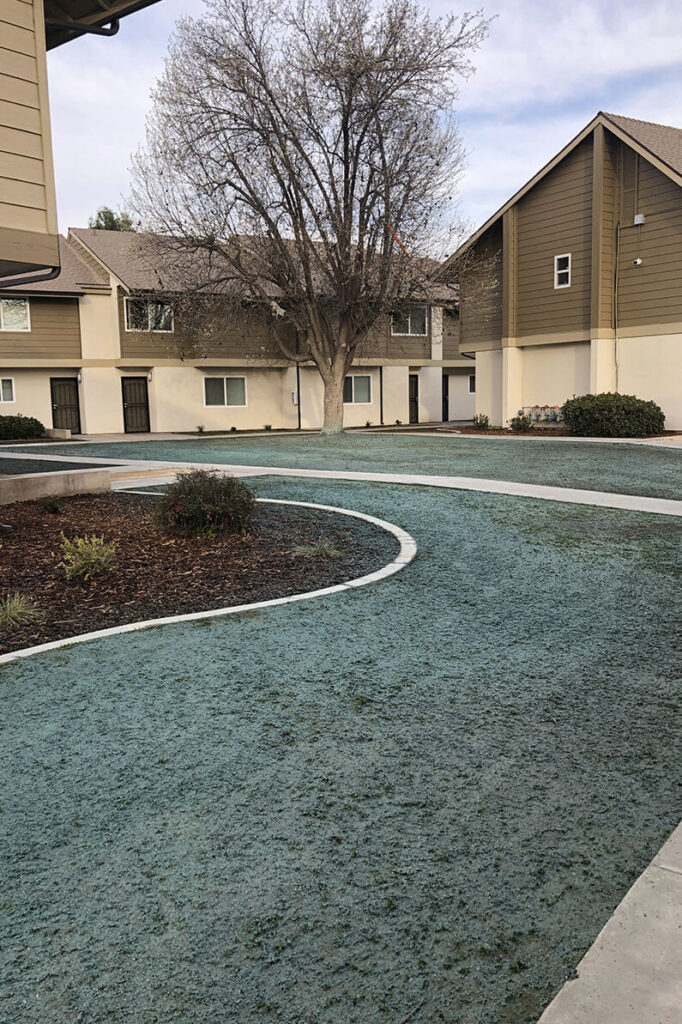 best landscape maintenance companies near me