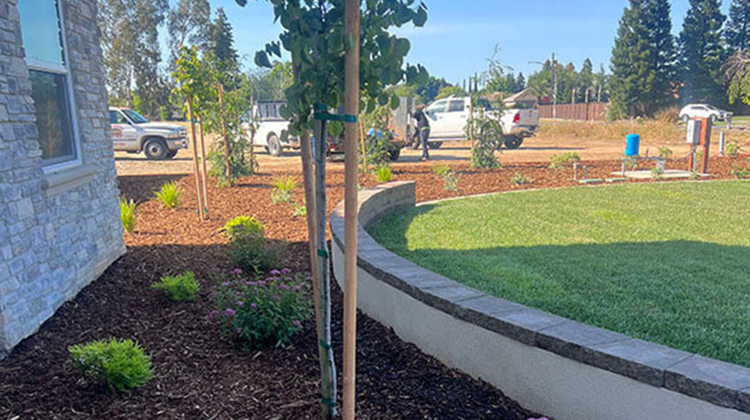 Landscape Contractor Central Valley