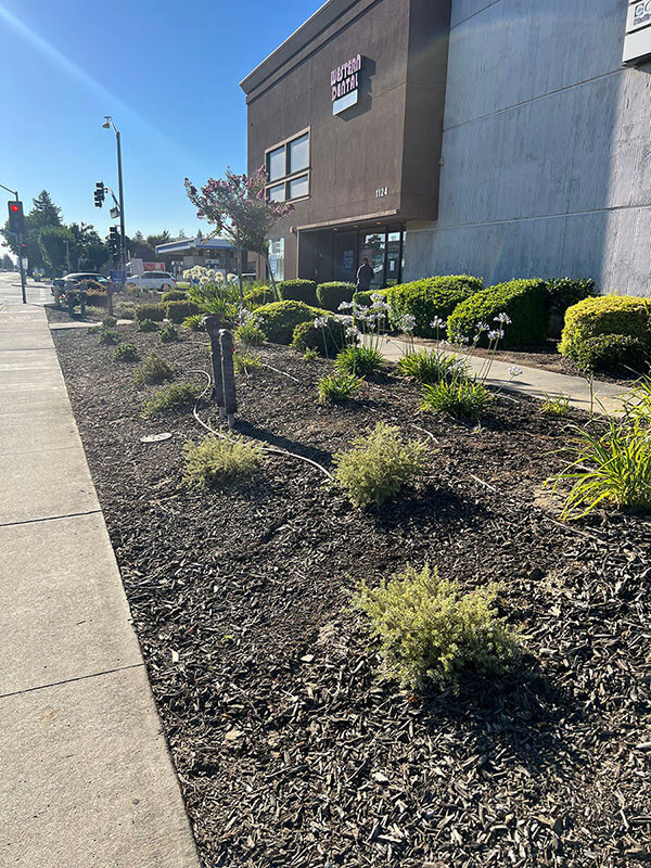 landscape construction companies