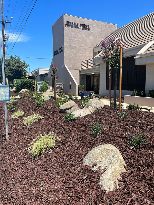 landscape construction details