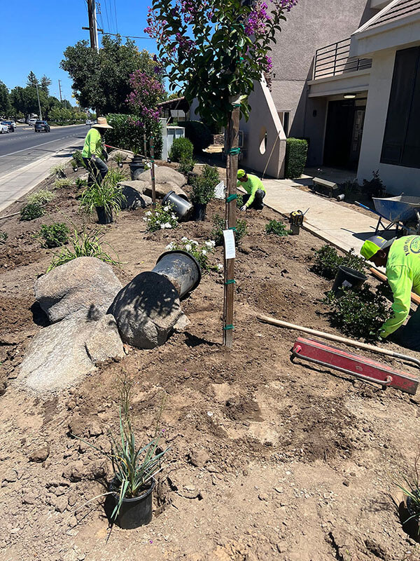 landscape construction design