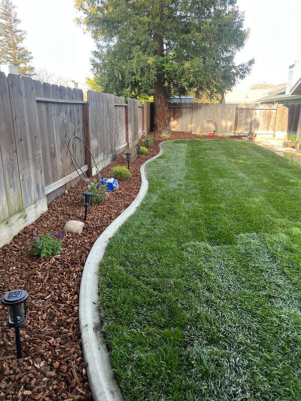 merced Professional Landscaping