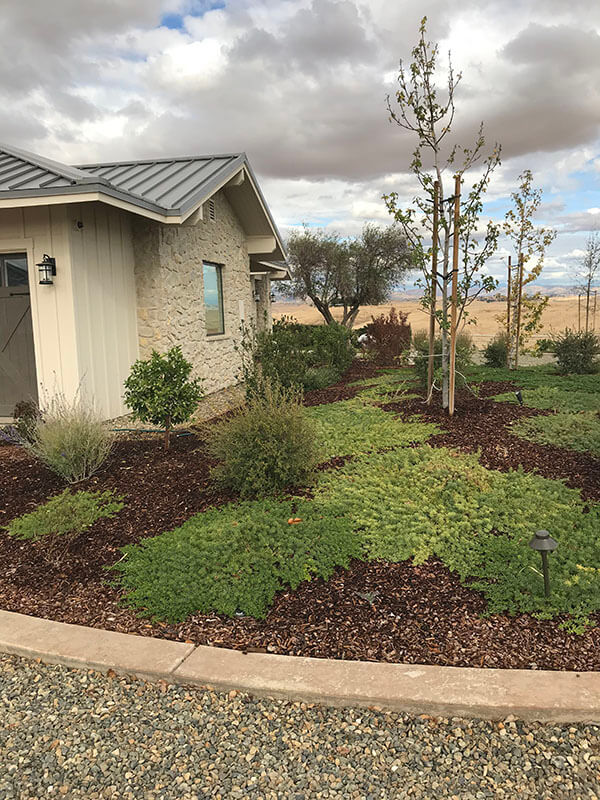 merced Landscape Design
