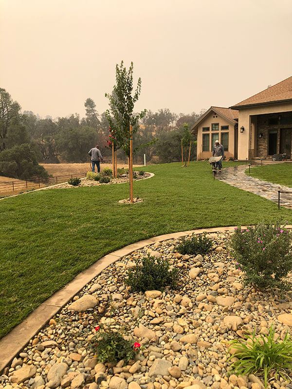 complete landscape renovation