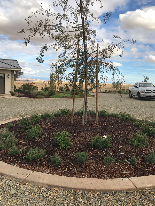 merced exclusive landscape renovation