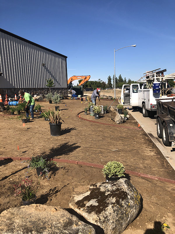 creative landscape company