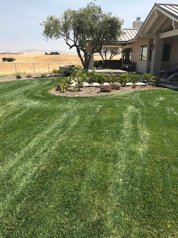 merced Professional landscaping services